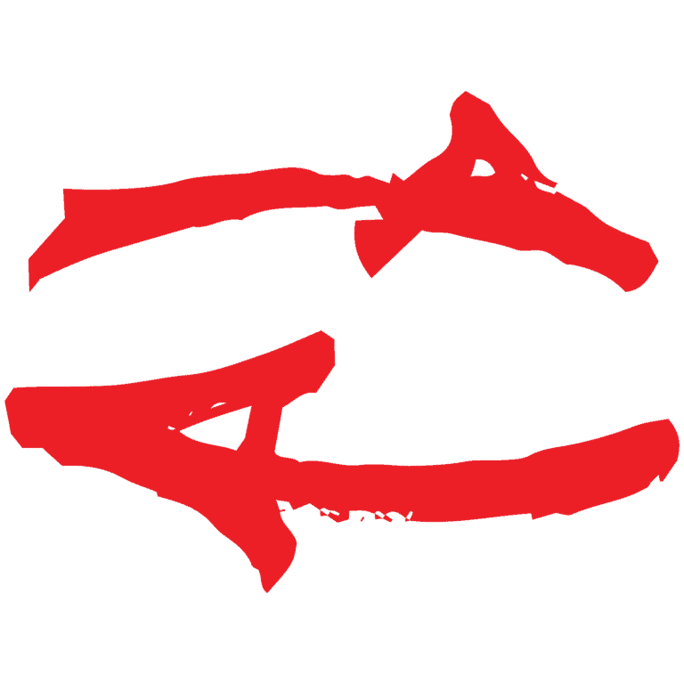 asset 22